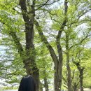 여원미용실 이미지