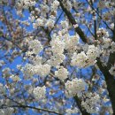 능서레포츠공원 축구장 이미지