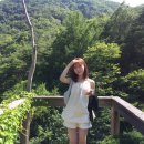 선류산장 네이버블로그