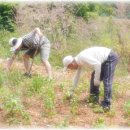 조동일농장 이미지