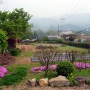 별장펜션민박 이미지