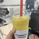 매머드익스프레스 인덕원디지털엠파이어점 | [카페/안양인덕원/테이크아웃전문점] 매머드익스프레스 인덕원디지털엠파이어점 | 신메뉴 딸기골드키위...