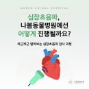 나봄동물병원 네이버블로그