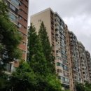 압구정-245 이미지