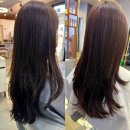대전 대동 미용실 &#39;어뉴애플헤어&#39; 시세이도 클리닉 후기