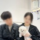 츄스타일(chu style) 이미지