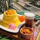 파파야 - 동래구 금강공원로20번길 42 | 태안 파도리 파파야카페 망고빙수 맛집 오션뷰 찐맛집 후기