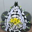 진관동 93-6 이미지