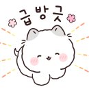 벨라폴앤스트레칭