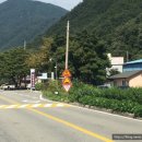 원텃골식당 이미지