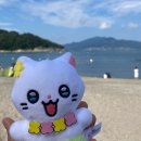 [공지] 마음만은 이미 새해 ☀️ &lt;2025 냐한남자 달력, 춘배, 데스크 캘린더 구매 후기&gt;