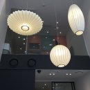 해뜰동물병원 이미지