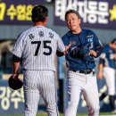 류