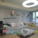 댕댕용품