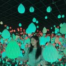 그린밸리펜션 | 강릉 가볼만한 곳 실내데이트코스 아르떼뮤지엄 입장권가격 및 할인예약방법링크