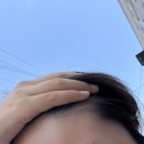 시골쥐 서울 상경했어유