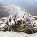 06.운동장삼거리 이미지