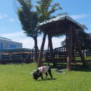 유니포리 이미지