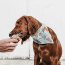 21세기동물병원 이미지