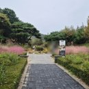 통일로 493번길 | 스타필드 근처 대형카페 아이랑 플랜테이션 후기