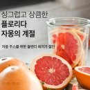 마켓컬리