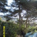 일출농장 이미지