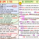 참조자연치유 이미지
