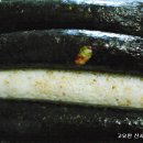 땡초김밥 - 통영시 죽림3로 54-38 | 땡초김밥