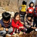 봉의초병설유치원 이미지