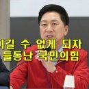 정상적으론 이길 수 없게 되자, 수작 부리다 들통난 국짐 이미지