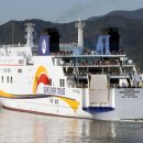 썬플라워 이미지