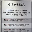 흑산도장어구이조개구이 이미지