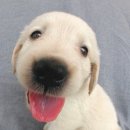 현대종합카센타 이미지