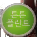 서울치과 앞 횡단보도 이미지