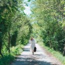 솔숲갈래길 이미지