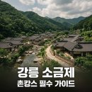 소금제 | 강릉 소금제, 촌캉스 제대로 즐기는 한옥 스테이 완벽 가이드