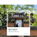 봄나무 - 강릉시 솔올로5번길 52 | 밀양 가볼만한 곳, 지금 가야 할 봄 명소 이팝나무와 완재정 봄 여행 후기