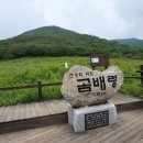 곰배령 PC 이미지