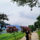 김수곤농장 이미지