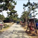 효돈동-6 이미지