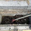 빙그레앞 이미지