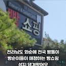 빵을쇼핑하다도곡