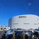 오션트리 | 아우로라카페 포항 트리가 있는 대형 오션뷰 카페 솔직 후기