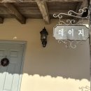 아라뜰데이지 이미지