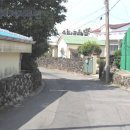 남원읍-31 Daum카페