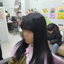 라라샵영주