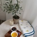 스튜디오르몽드