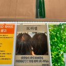 청도환경관리센터 | 평택 고덕 두피 관리 문제성 두피케어 H.리셀 평택고덕점 솔직후기