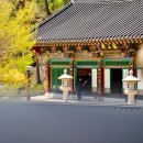 어류정항 인근 | 인천 강화도 갈만한곳 석모도 유명한 절 보문사 봄 산책 여행