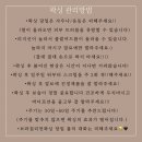 중동 왁싱::헤어라인왁싱과 이마왁싱 신중동역 바이릴리